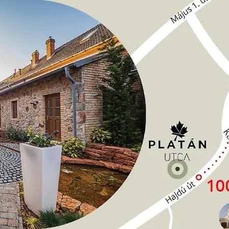 招待所 Platan Udvarhaz - Platan 塔塔