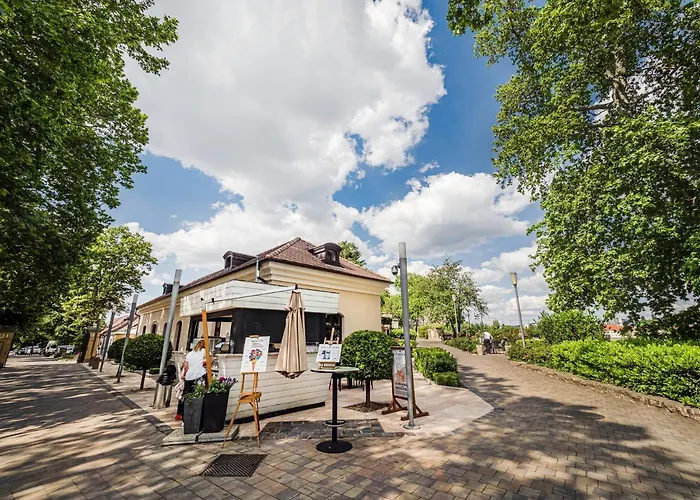 Platan Udvarhaz Pensiune Tata