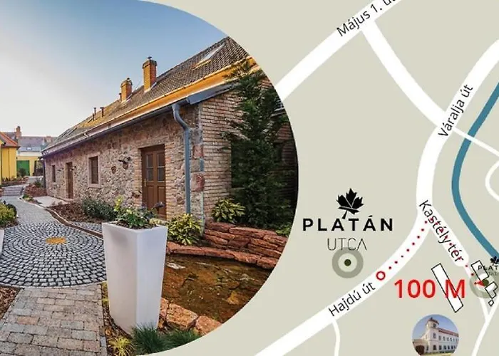게스트하우스 Platan Udvarhaz 터터