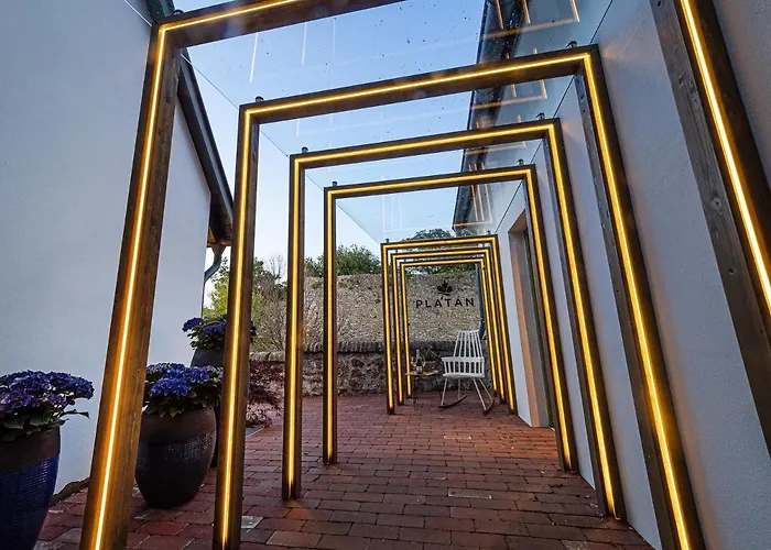 Platan Udvarhaz Pensiune Tata